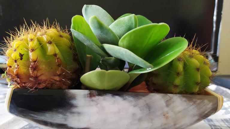 An item from the Nadur Collection on the website of local fair trade business Blossom Inspirations. (Credit: Blossom Inspirations)