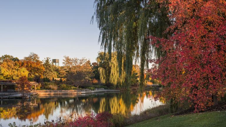 The Bulb Garden at the Chicago Botanic Garden in Glencoe. (Courtesy Chicago Botanic Garden)