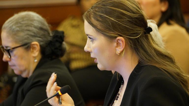 Bridget Peach, executive director of the advocacy group ED-RED, a consortium of school districts in northern Cook and Lake counties, testifies before a state House committee on April 16, 2024, in favor of funding to help schools with the cost of educating migrant students. (Peter Hancock / Capitol News Illinois)