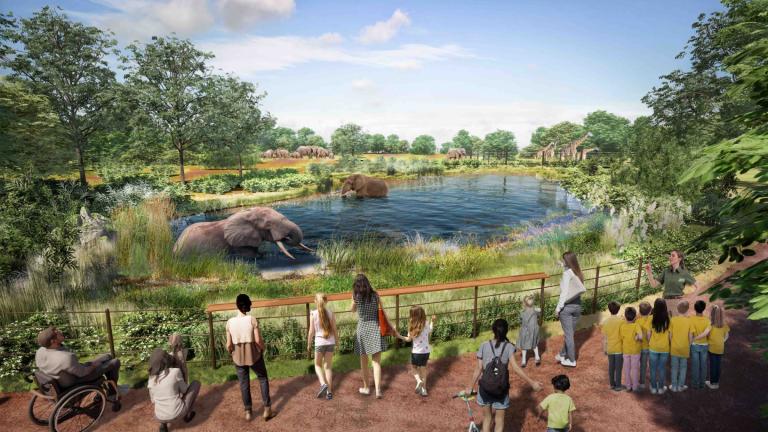 A rendering of the planned Gateway to Africa South African Forests habitat at Brookfield Zoo, part of the institution’s Next Century Plan. (Jones & Jones Architects and Landscape Architects, and Booth Hansen)