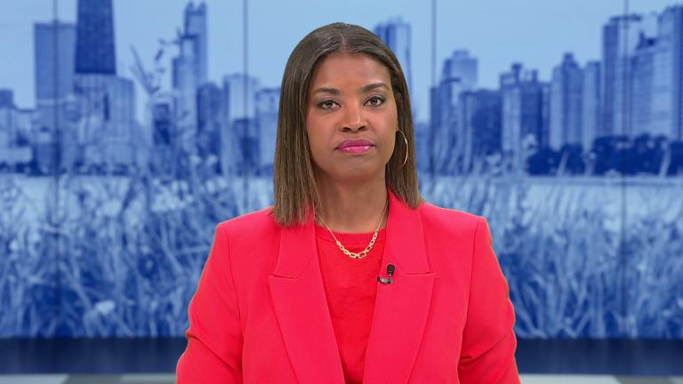 (WTTW News)