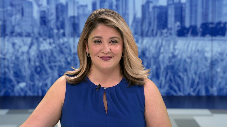 (WTTW News)