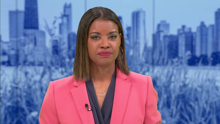 (WTTW News)
