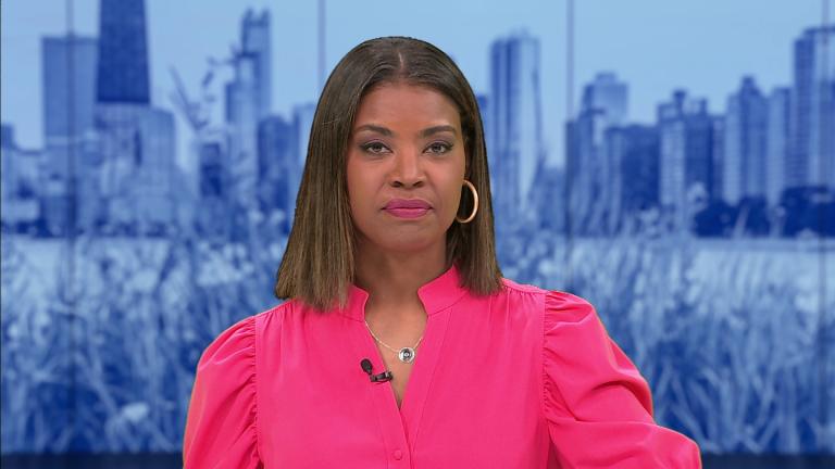 (WTTW News)