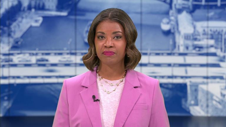 (WTTW News)