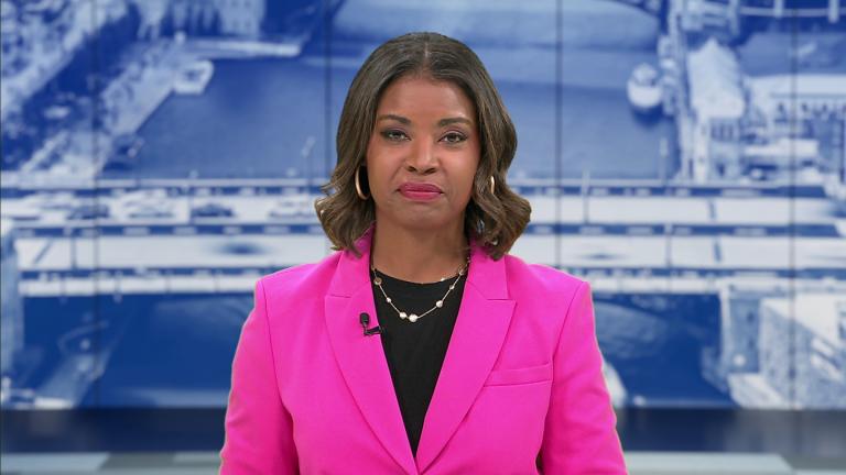 (WTTW News)