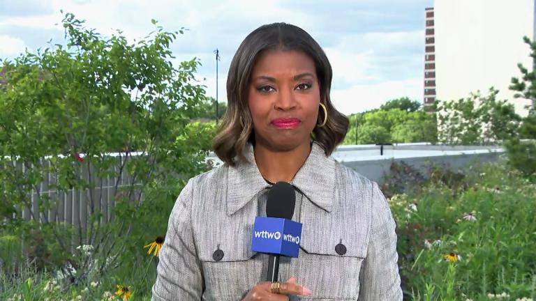 (WTTW News)
