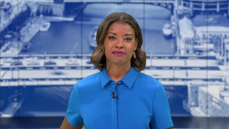 (WTTW News)