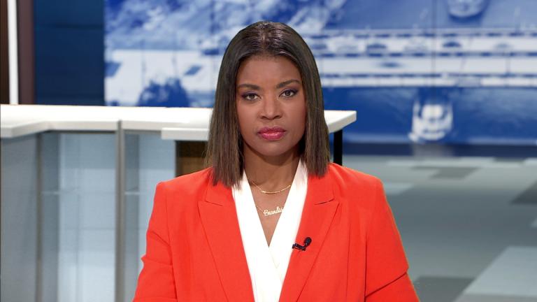 (WTTW News)