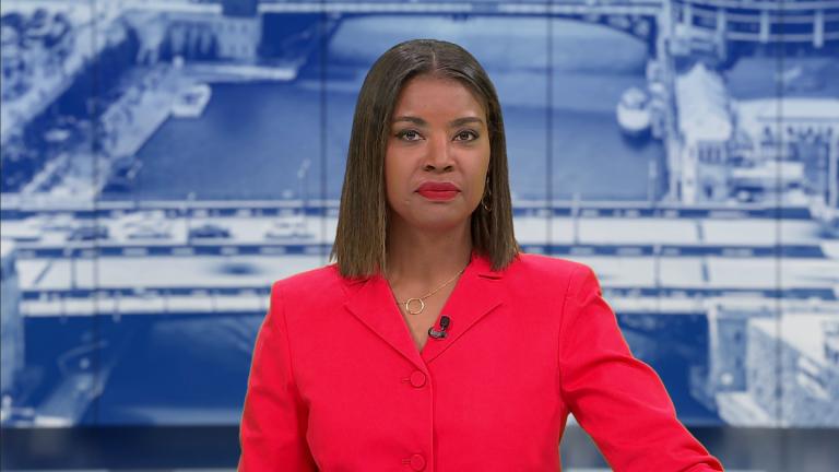 (WTTW News)