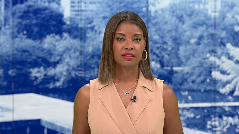 (WTTW News)
