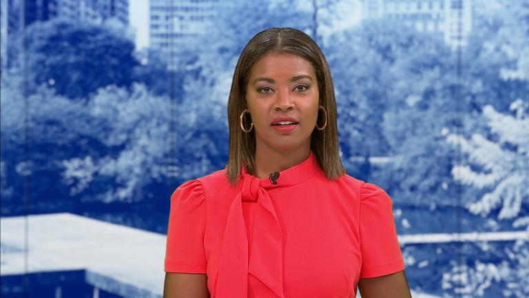 (WTTW News)