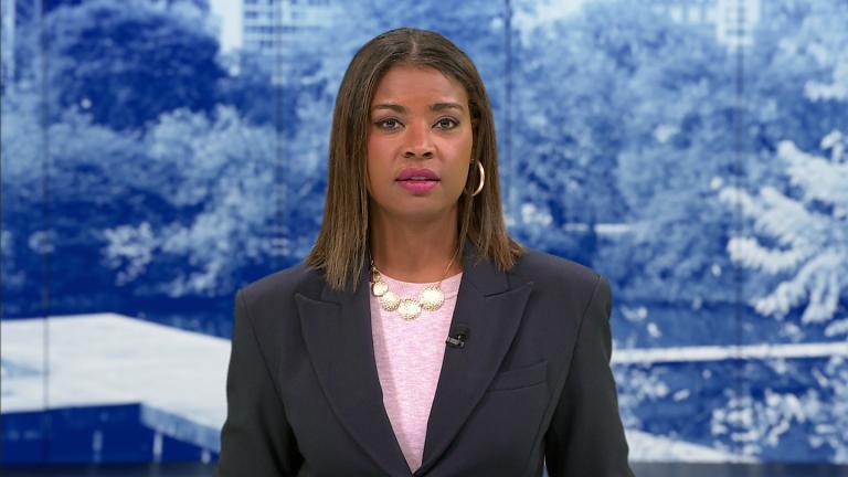 (WTTW News)