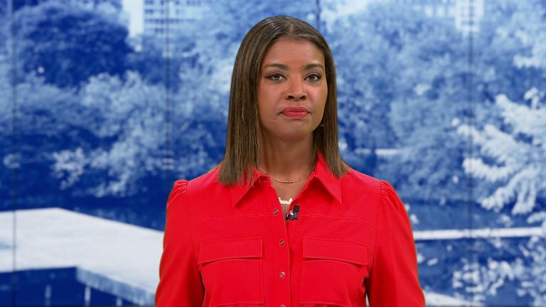 (WTTW News)