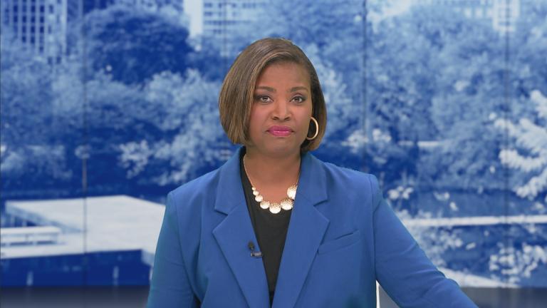 Brandis Friedman on the Oct. 15, 2024, episode of "Chicago Tonight."