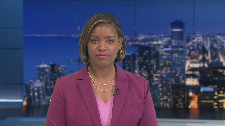 (WTTW News)