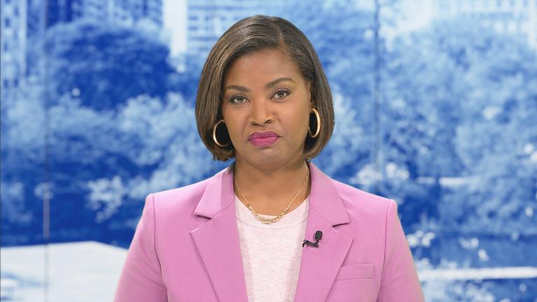 Brandis Friedman. (WTTW News)