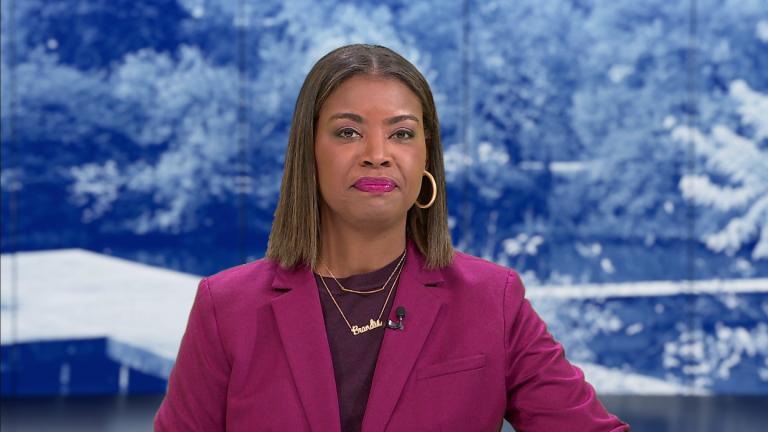 Brandis Friedman hosts the Nov. 11, 2025, episode of "Chicago Tonight." (WTTW News)