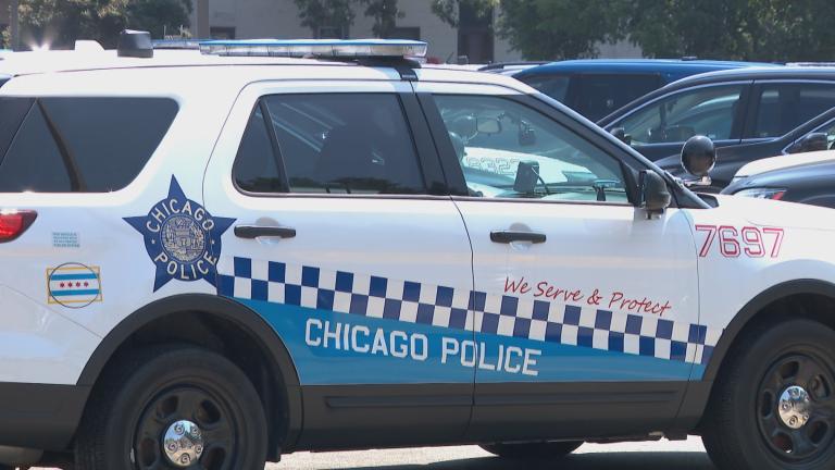 (WTTW News)