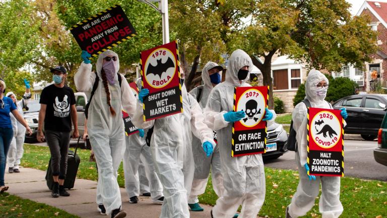 Animal rights activists protest Sunday, Sept. 27 in Belmont Cragin. (Grace Del Vecchio / WTTW News)