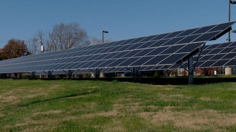 A solar farm in Carbondale, Illinois, in late 2024. (Andrew Campbell / Capitol News Illinois)