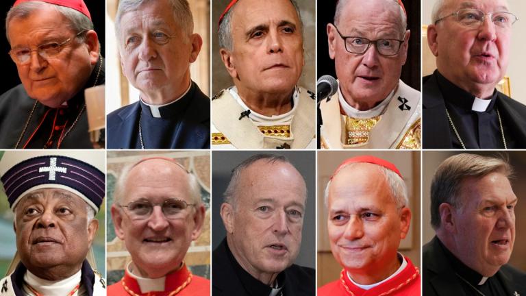 This combination of photos shows U.S. Catholic Cardinals, top row from left, Raymond Burke, Blase Cupich, Daniel DiNardo, Timothy Dolan and Kevin Farrell; bottom row from left, Wilton Gregory, James Michael Harvey, Robert McElroy, Robert Francis Prevost and Joseph Tobin. (AP Photo)