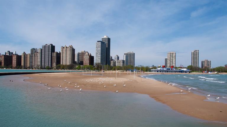 North Avenue Beach in 2018. (Frank Fujimoto / Flickr)