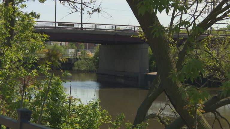 The Chicago River at Fullerton Avenue