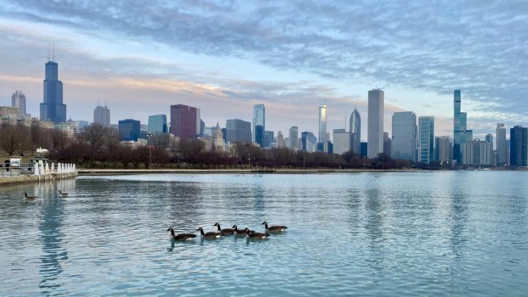 Chicago's skyline. (Chris Jensen / iStock)