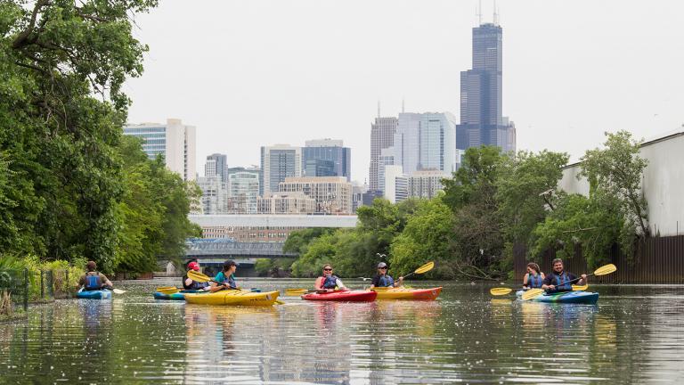 Shedd Aquarium’s Kayak for Conservation program aims to introduce residents to the Chicago River ecosystem and the wildlife that call the waters home. (Hilary Wind / Shedd Aquarium)