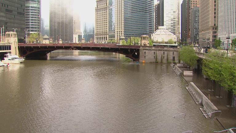 Record rainfall in May has caused the Chicago River to rise and has taxed the region’s storm sewers. (WTTW News) Record rainfall in May has caused the Chicago River to rise and has taxed the region’s storm sewers. (WTTW News)