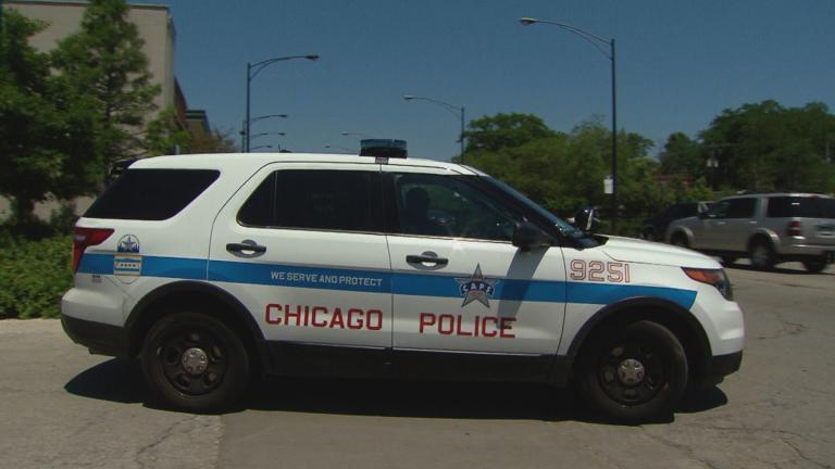 (WTTW News)