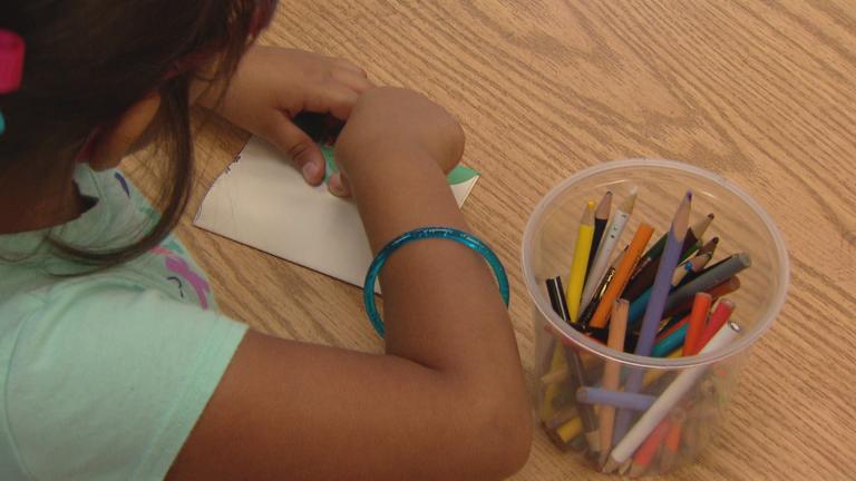 (WTTW News) (WTTW News)