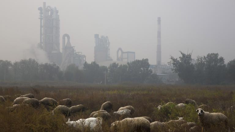 Sheep graze on a grass land near a cement plant on the outskirts of Beijing, China, Oct. 17, 2015. (AP Photo / Ng Han Guan, File)