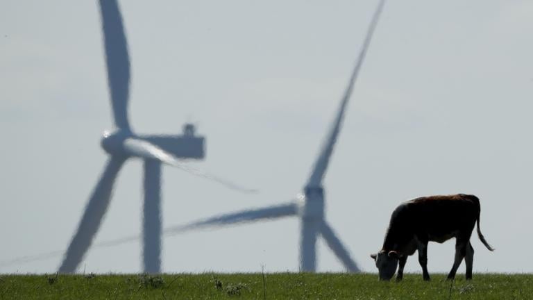 A cow grazes in a pasture as wind turbines rise in the distance, April 27, 2020, near Reading, Kan. (AP Photo / Charlie Riedel, File)