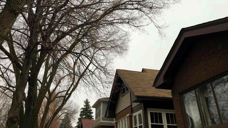 If it seems like January is relentlessly gray, you’re not imagining it. (Patty Wetli / WTTW News)