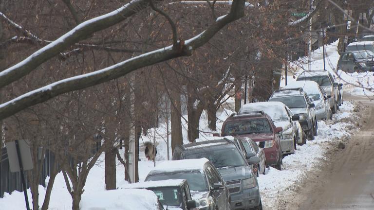 Shiver, Fluff and Cuddle: How Birds Keep Warm in the Winter, Chicago News