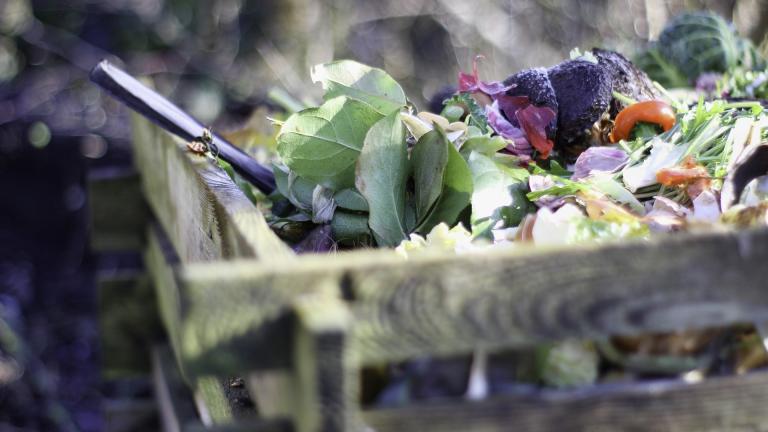 Composting is one way to reduce food waste. (Herb007 / Pixabay)