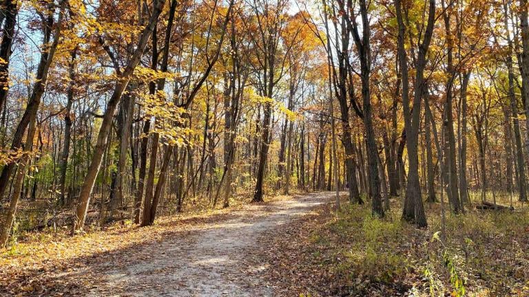 (On the Run Photo / iStock)