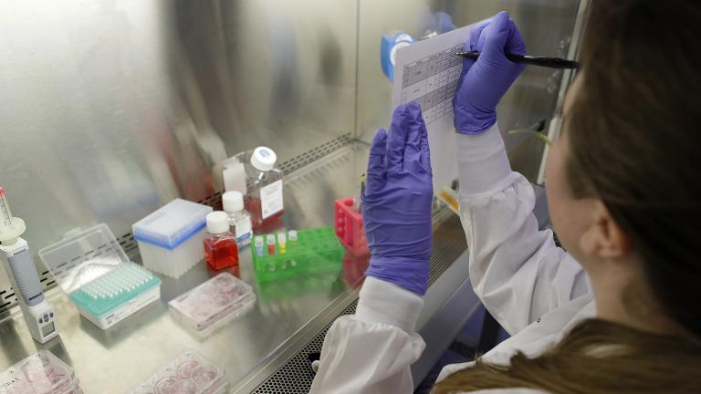 In this Wednesday, Jan. 15, 2020, photo, scientist and study director Jennifer Molignano notates the time she begins dosing living human skin tissues with two types of commercially available skin care products during a demonstration of experiments at a MatTek Corporation lab, in Ashland, Massachusetts. (AP Photo / Steven Senne)
