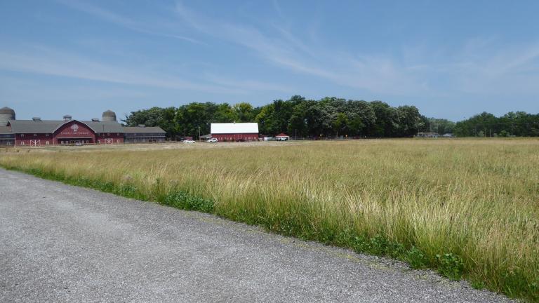 County Line Orchard and its hayfield/overflow parking lot, photographed June 16. (Chicago Ornithological Society / X)