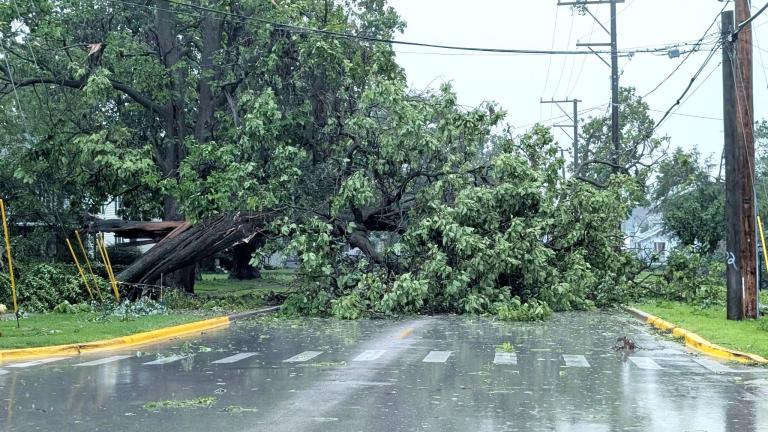 Downed trees and power lines blocked main roads in Crete, where thousands remained without power on Wednesday. (Village of Crete)