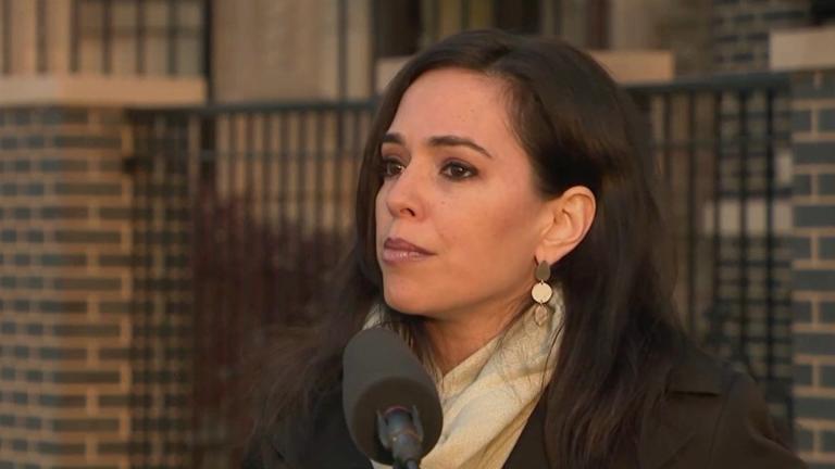 Cristina Pacione-Zayas appears on “Chicago Tonight” on May 7, 2020. (WTTW News)