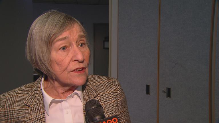 State Rep. Barbara Flynn Currie (Chicago Tonight)