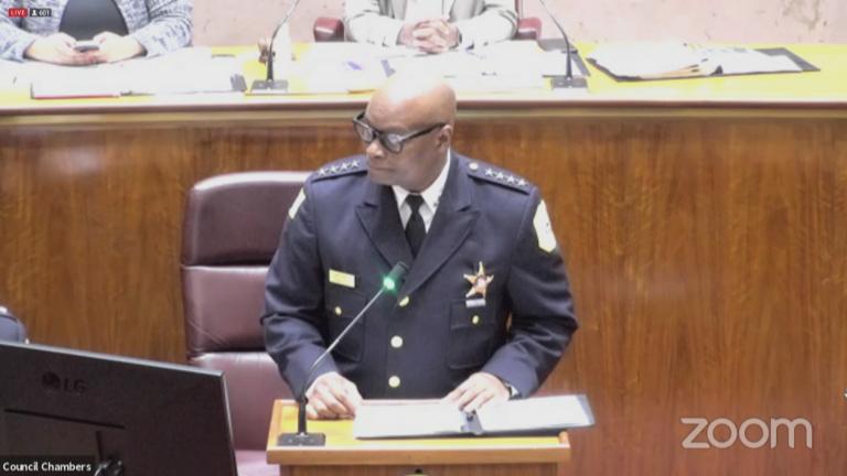 Chicago Police Superintendent David Brown addresses City Council in a special meeting, July 2, 2021. (WTTW News)