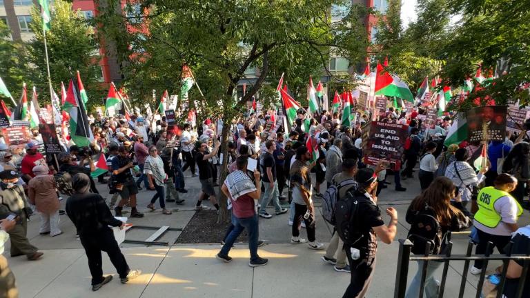 Protesters march in support of Palestine and ending U.S. aid to Israel on Aug. 21, 2024. (Nicole Cardos / WTTW News) Protesters march in support of Palestine and ending U.S. aid to Israel on Aug. 21, 2024. (Nicole Cardos / WTTW News)