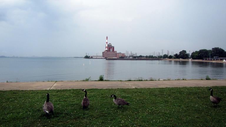 Chicago's newest dog park will be located at Calumet Park, near the U.S. Coast Guard Station at Calumet Harbor. (Bohao Zhao / Wikimedia Commons)