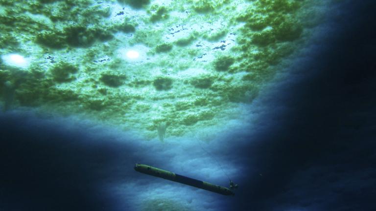 A robot nicknamed Icefin operates under the sea ice near McMurdo Station in Antarctica in 2020. The pencil-shaped robot is giving scientists their first look at the forces eating away at the Thwaites glacier. (Schmidt / Lawrence / Icefin/ NASA PSTAR RISE UP via AP)
