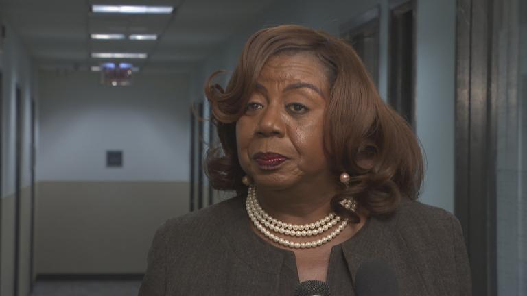 Mayoral candidate Dorothy Brown calls for other campaigns to stop challenging her petition signatures. 