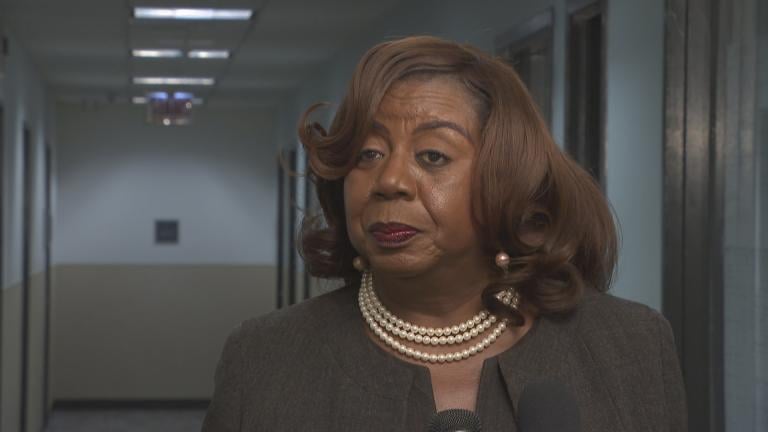 Mayoral candidate Dorothy Brown calls for other campaigns to stop challenging her petition signatures. Mayoral candidate Dorothy Brown calls for other campaigns to stop challenging her petition signatures.